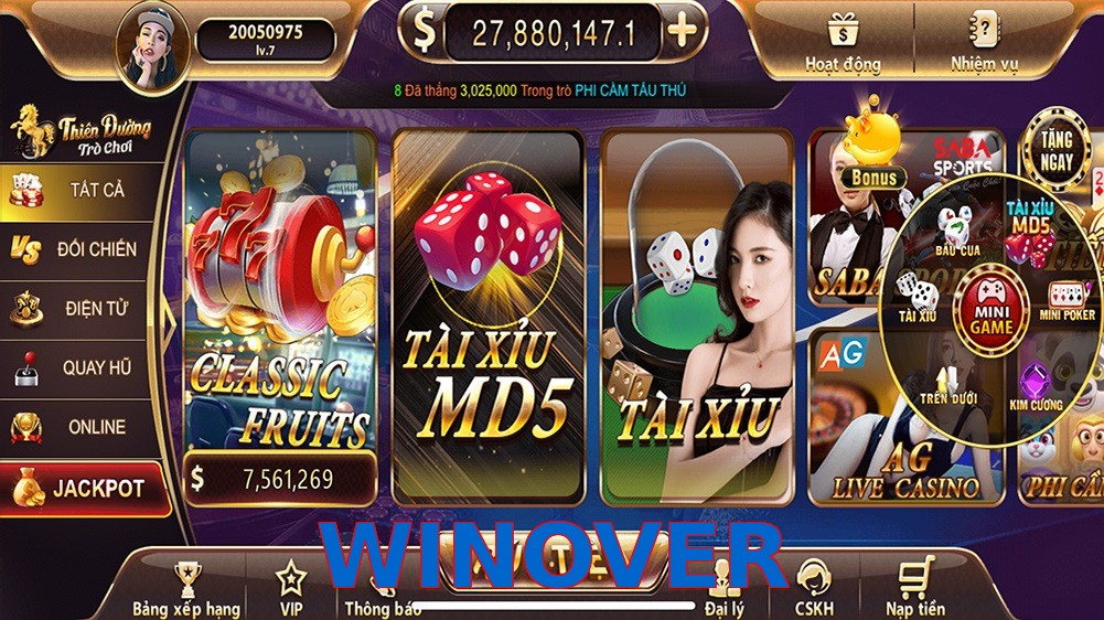 WINOVER