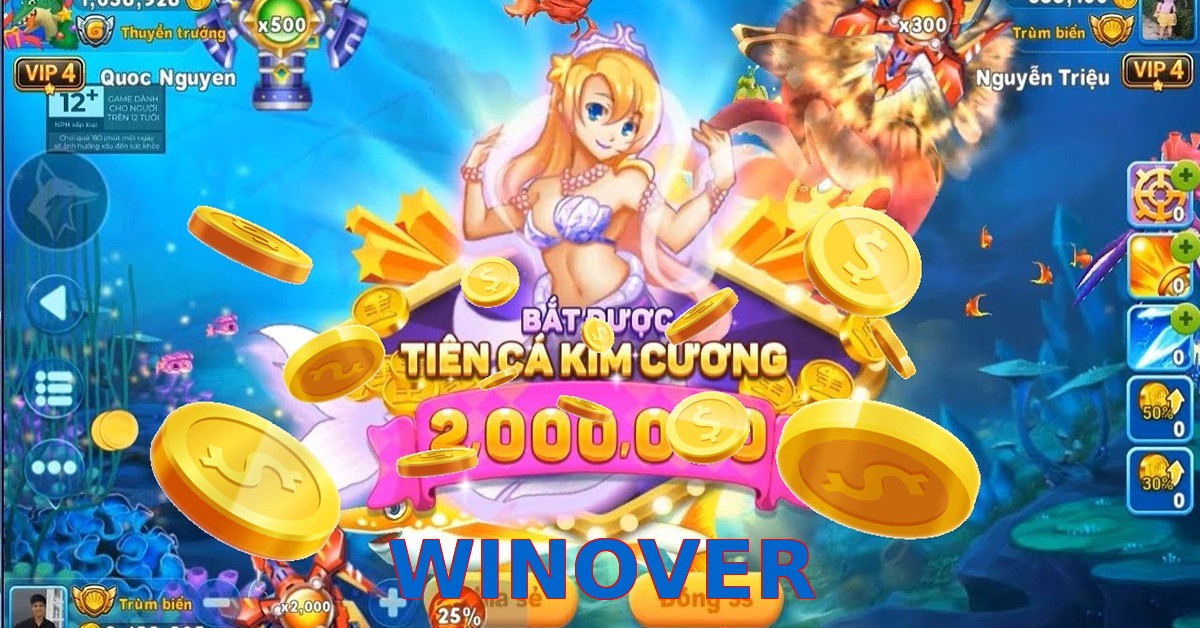 WINOVER