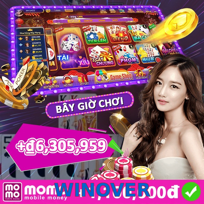 WINOVER