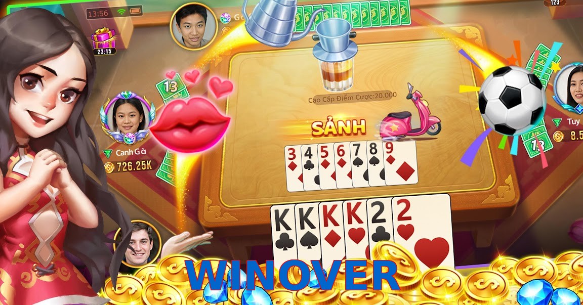 WINOVER