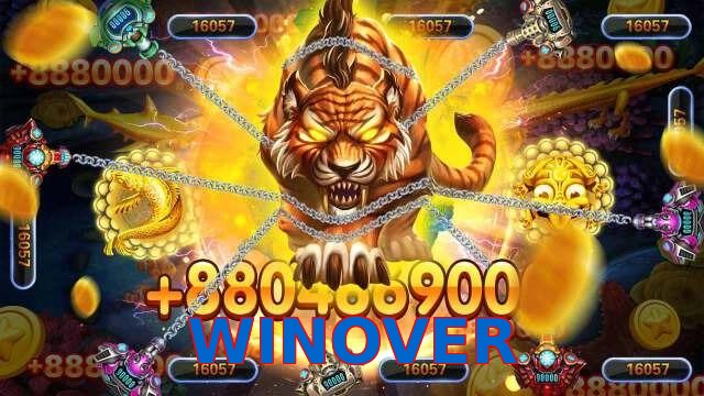 WINOVER
