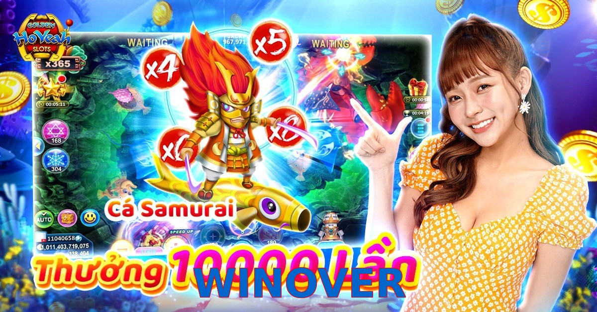 WINOVER