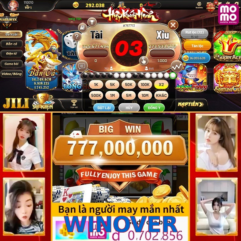 WINOVER